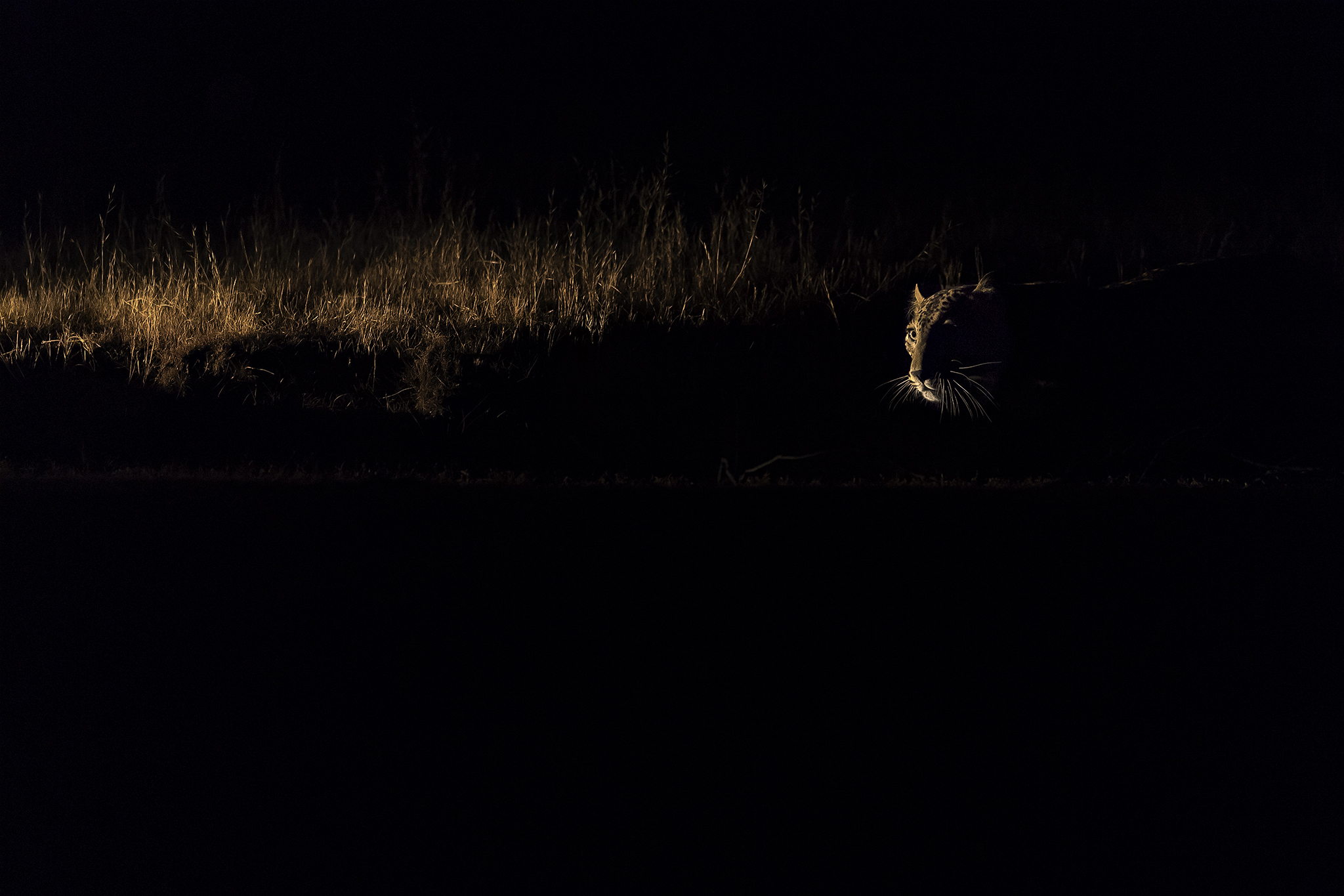 The Ghost in Darkness - Bera, Rajasthan, India