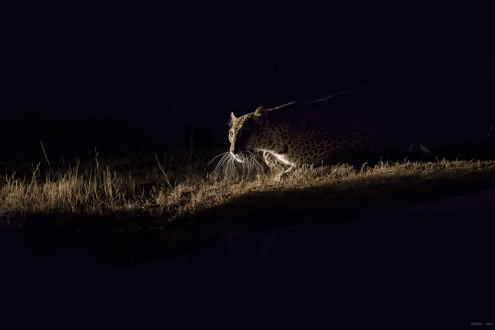 Ghost in Darkness - Bera, Rajasthan, India