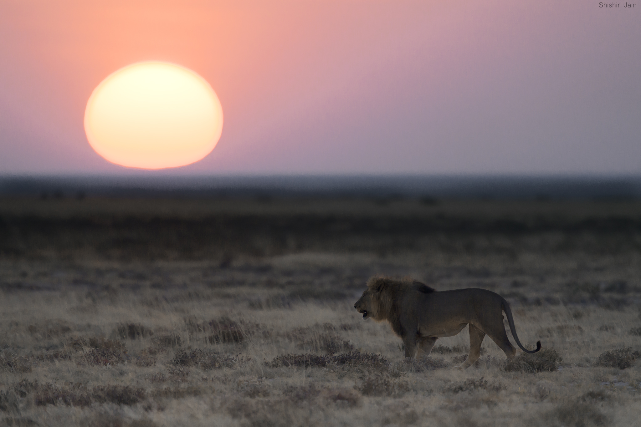 Solitude & Sunset, Kenya