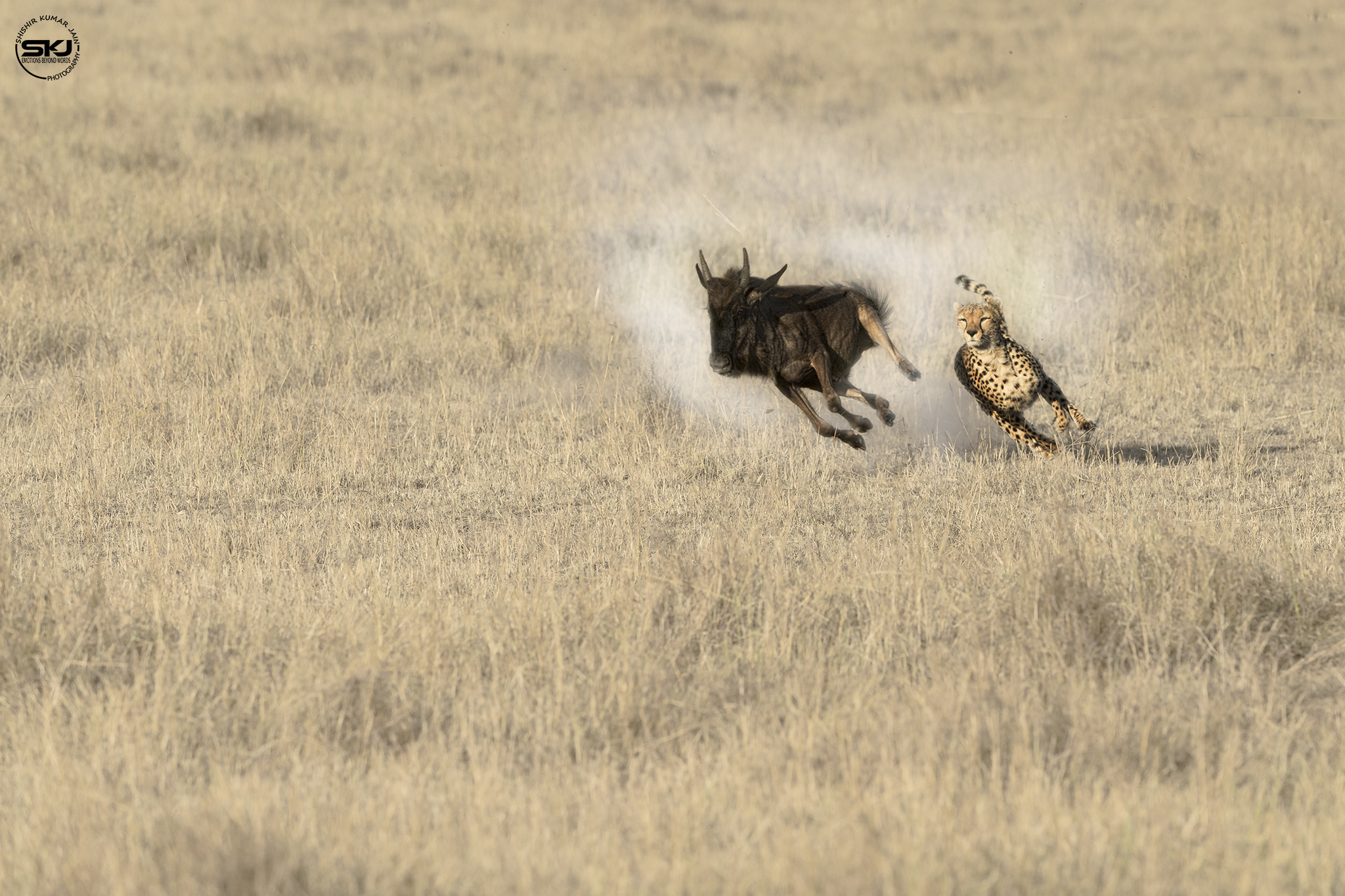 The Race for Survival - Kenya