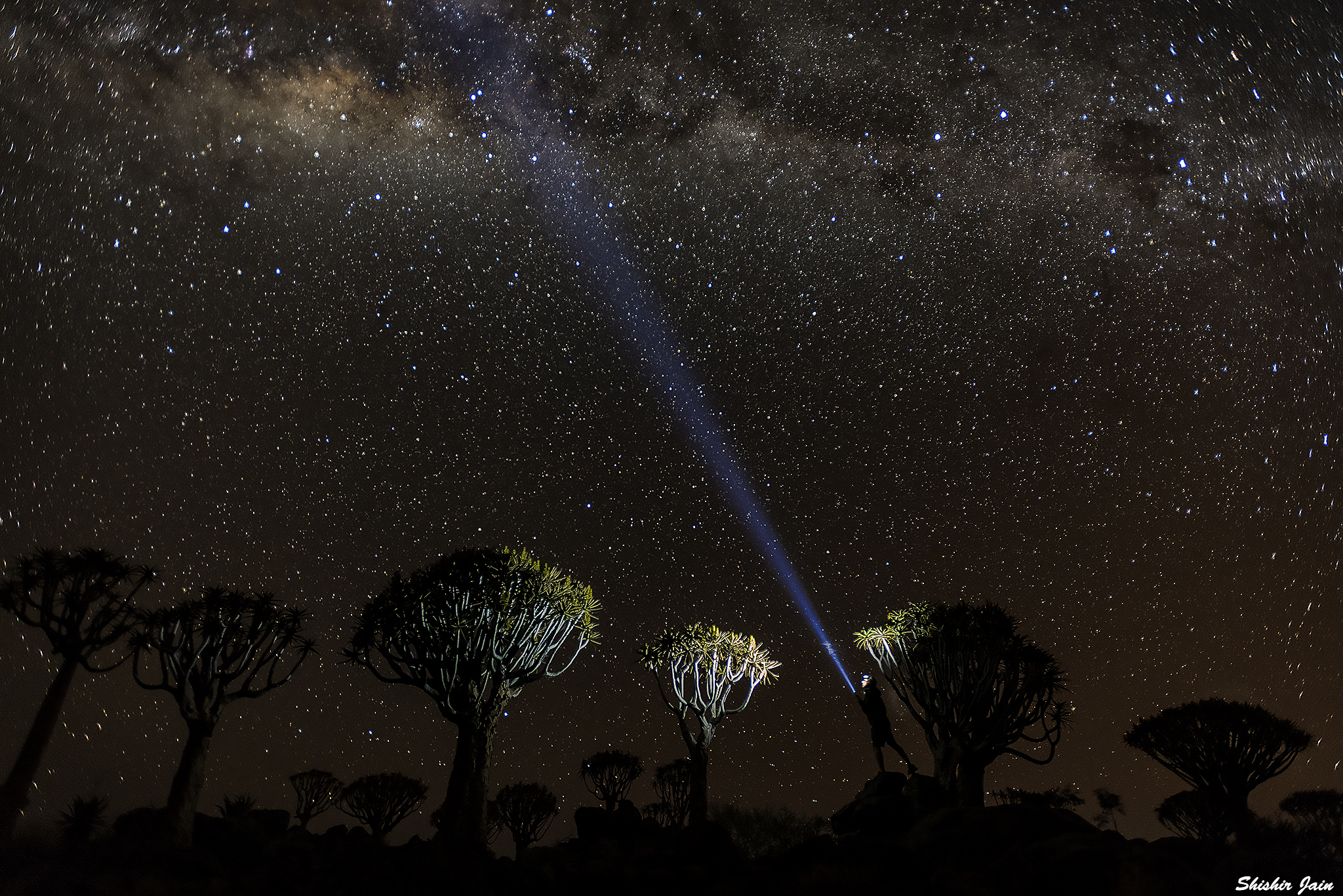 Under the Stars - Namibia