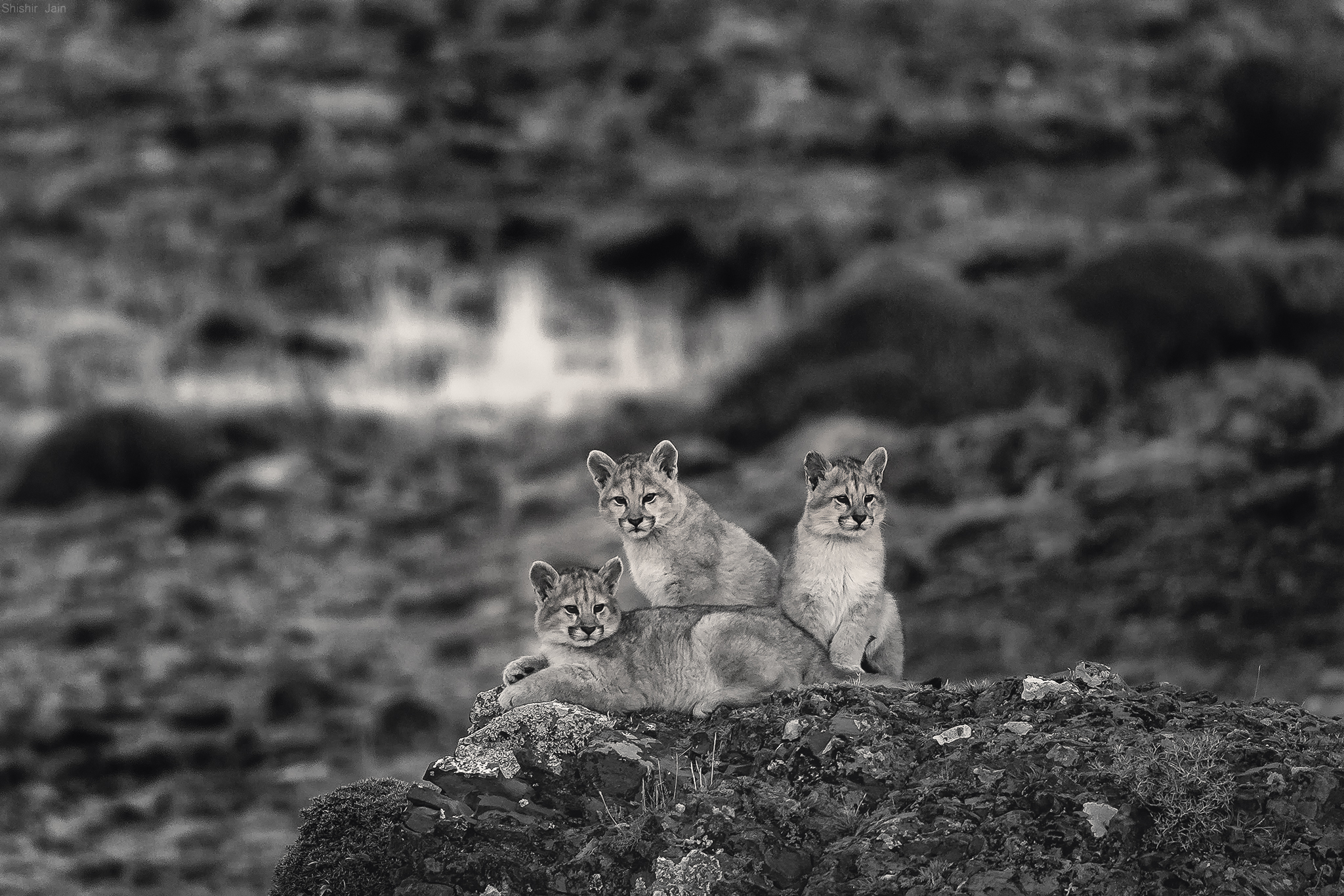 Siblings - Patagonia, Chile