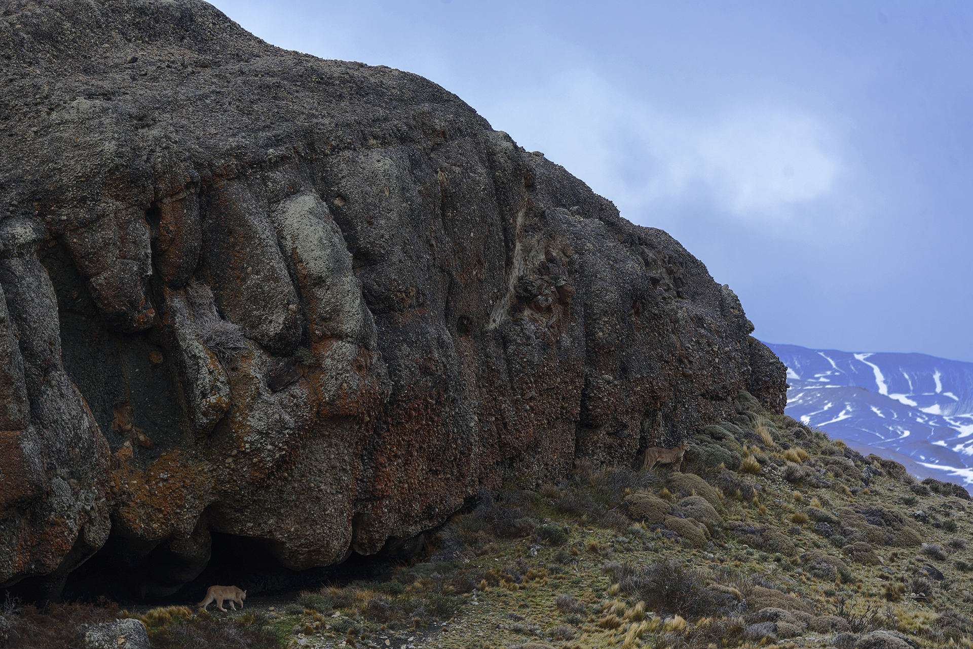 Home in Hollow - Puma, Patagonia, Chile