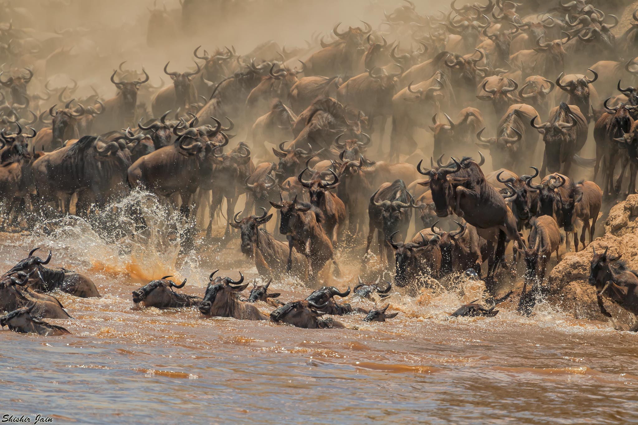 World Cup of Wildlife - Kenya