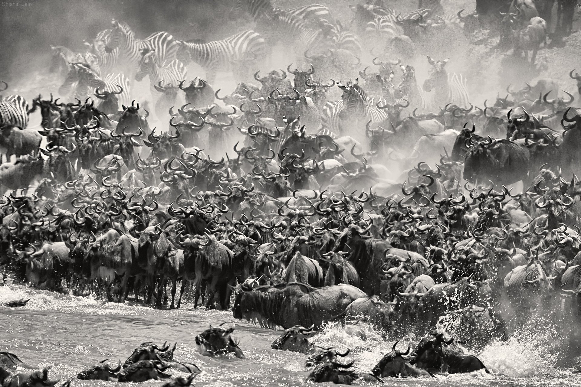 The Great Migration - Kenya