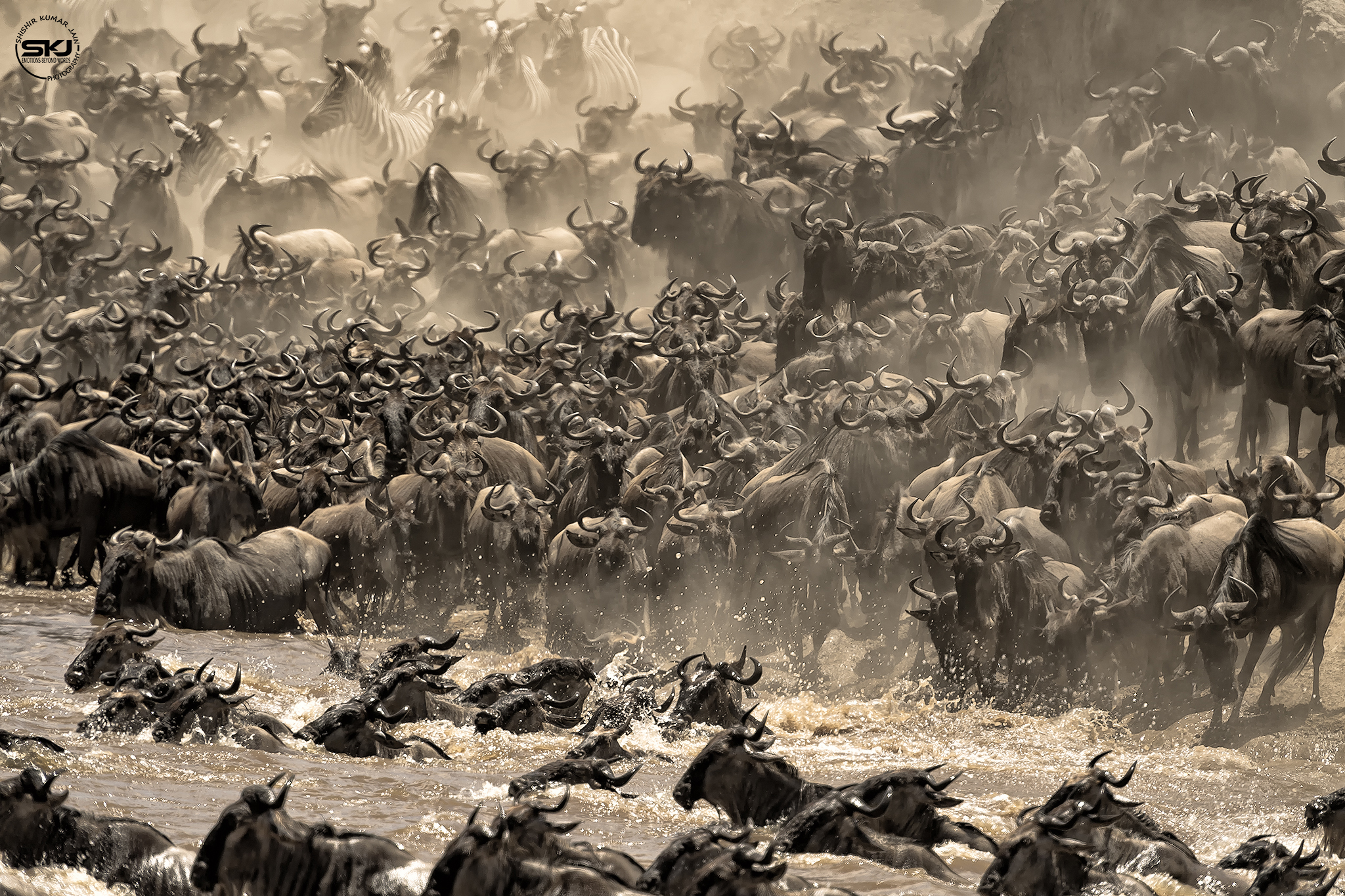 The Great Migration - Kenya