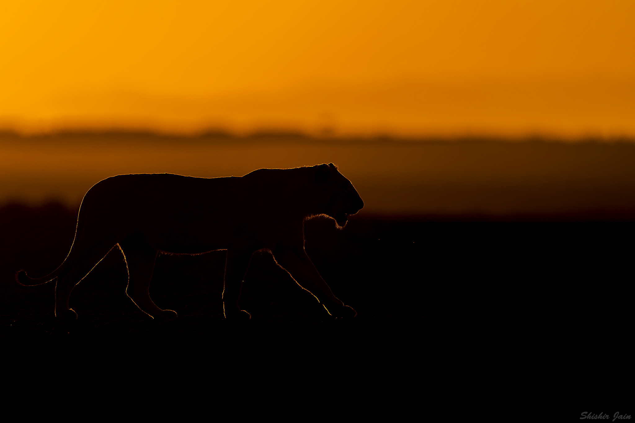 Agnisutra, Kenya