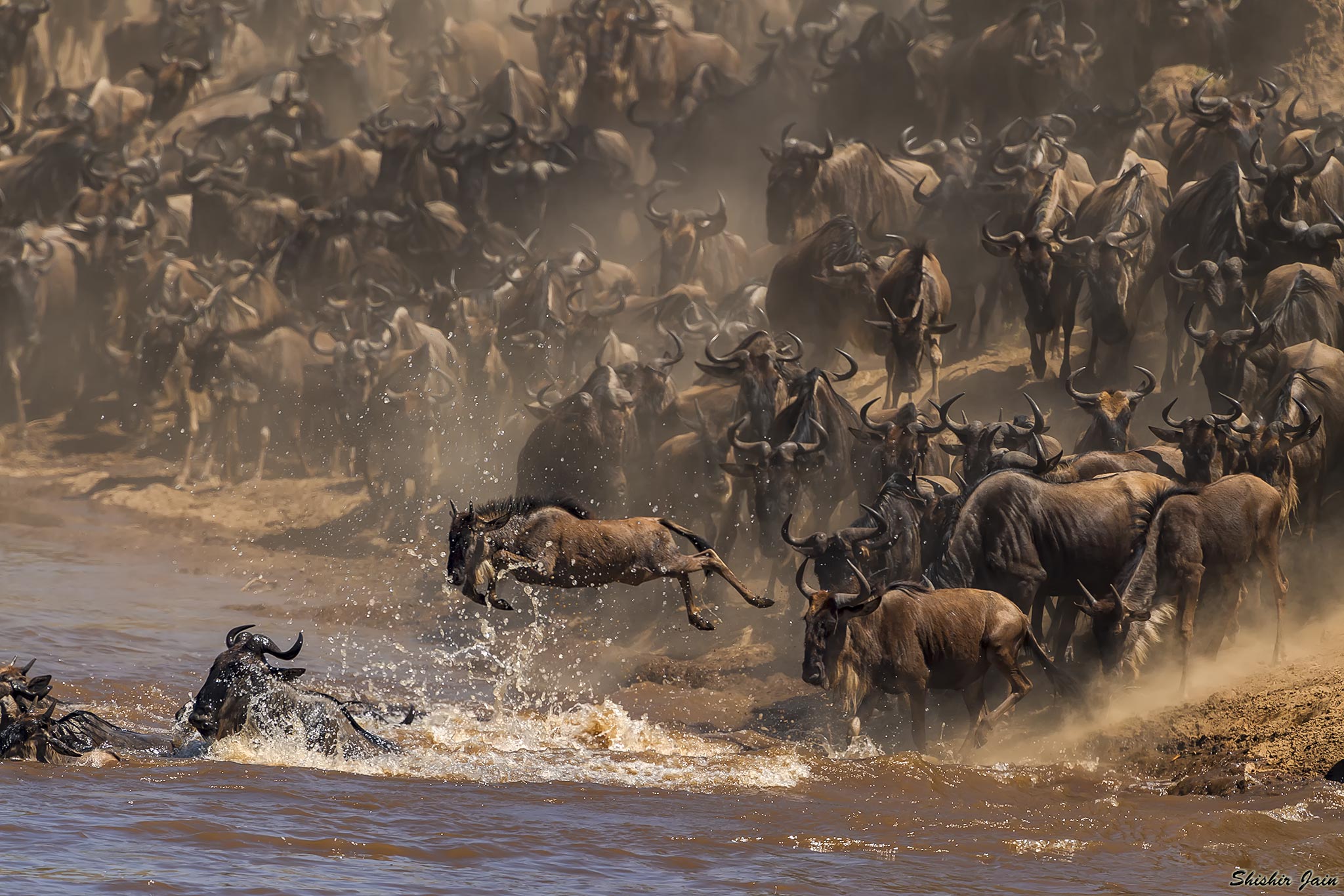 The Plunge - Kenya