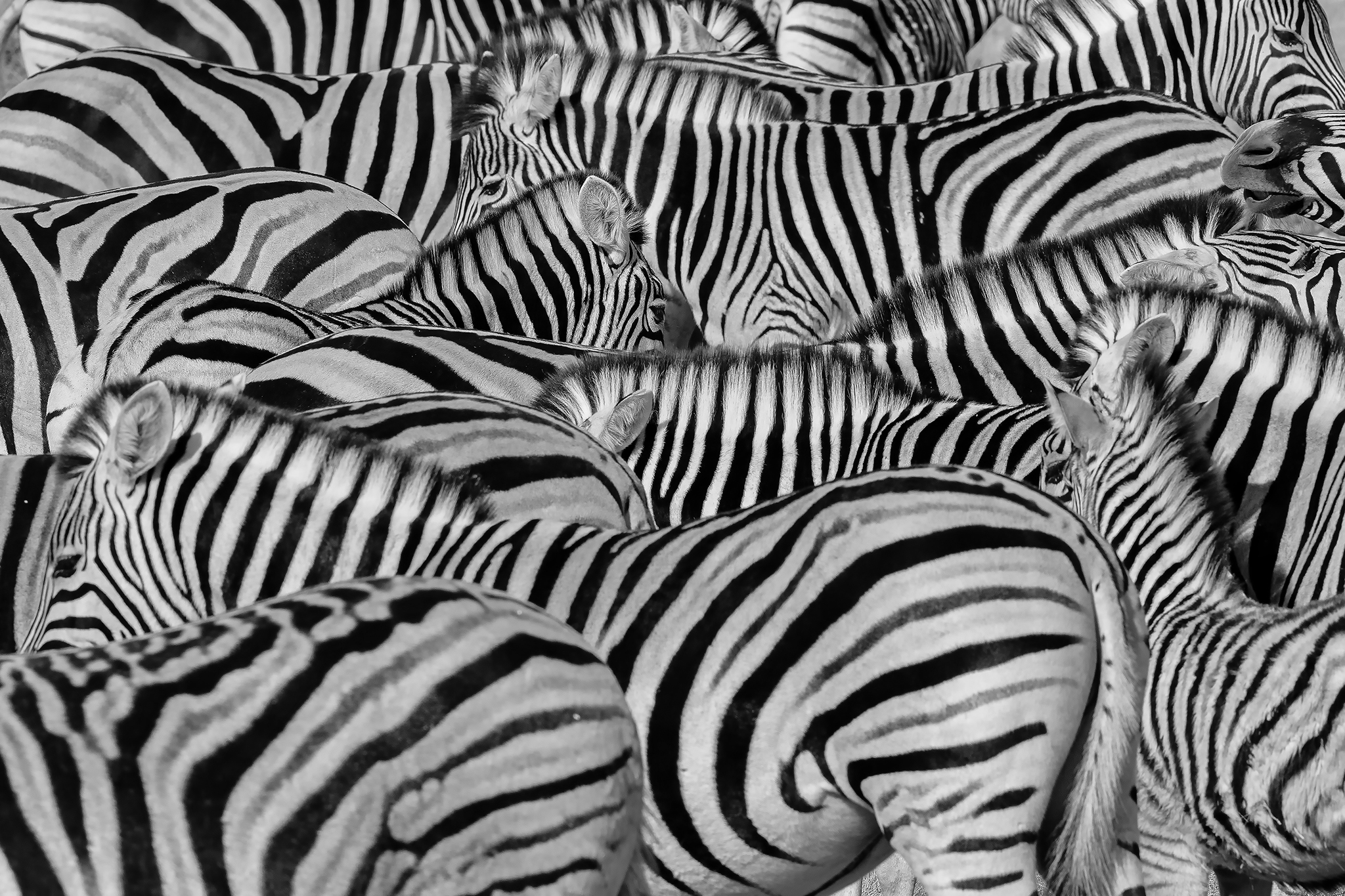 Artful Maze - Namibia