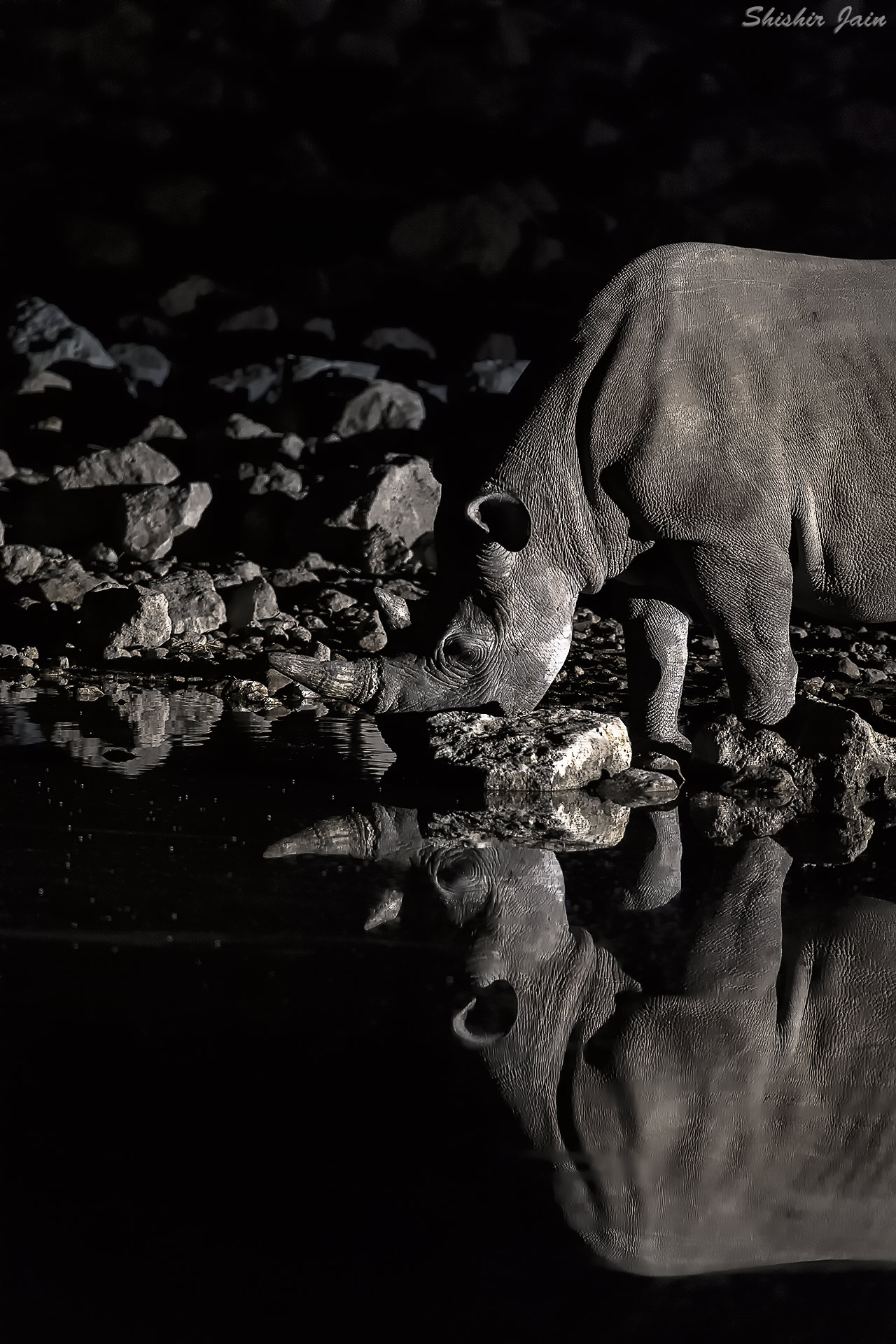 Multiplicity - Namibia