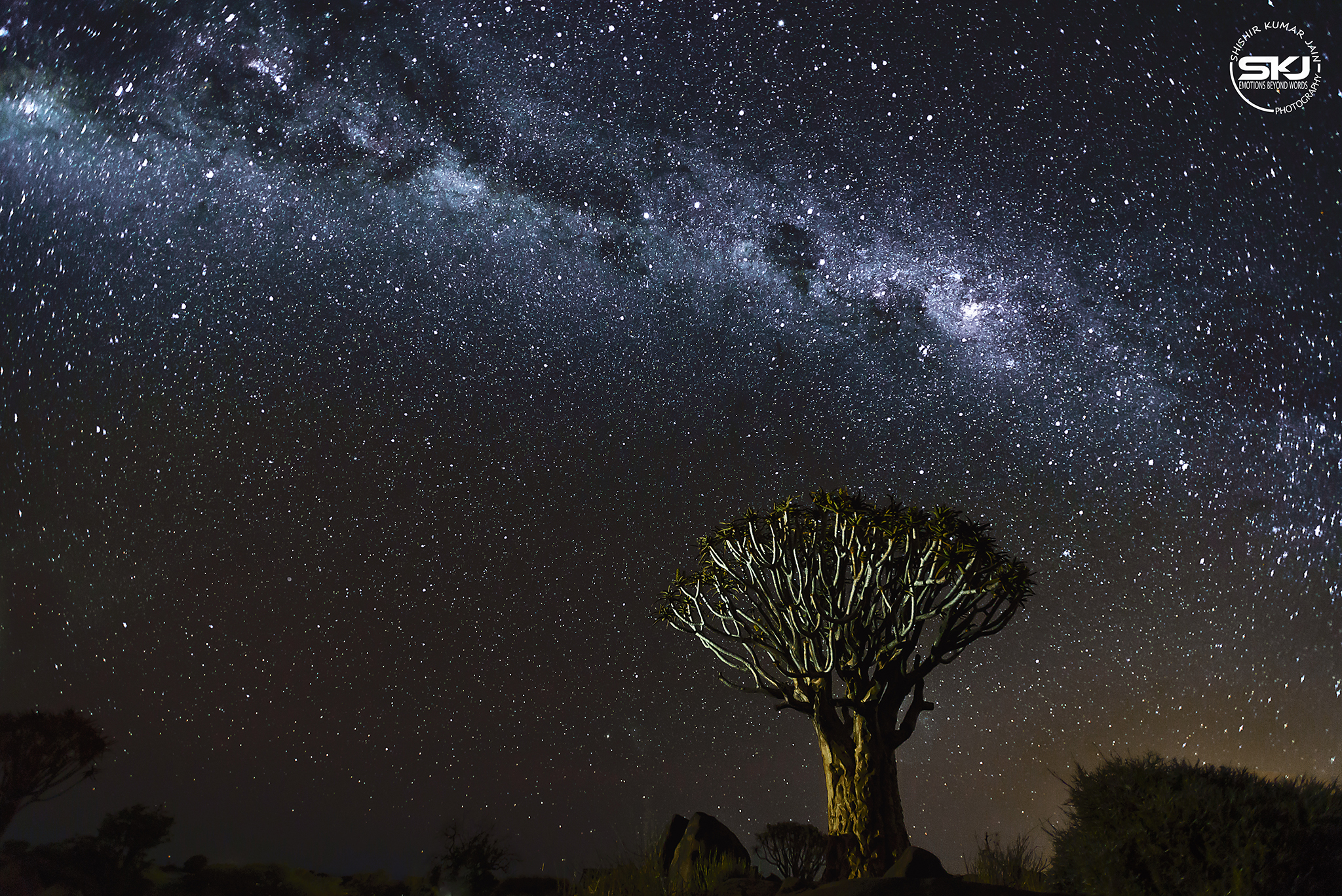 Quiver Tree – Light Painting - Namibia